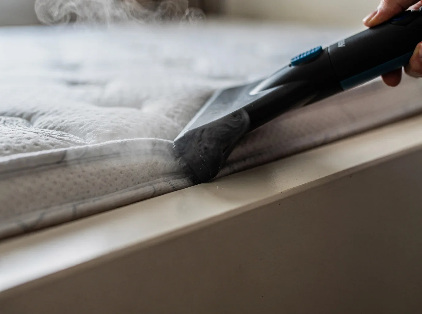 Why choose Bed Bug Treatment in Labrador